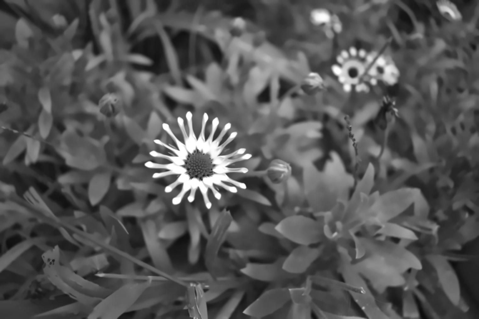 Session de travail collaboratif