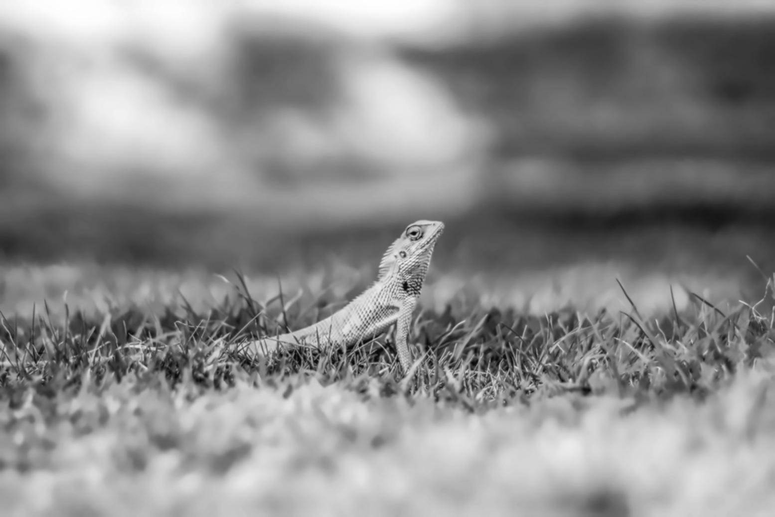 Documentation scientifique et équipement de mesure environnementale